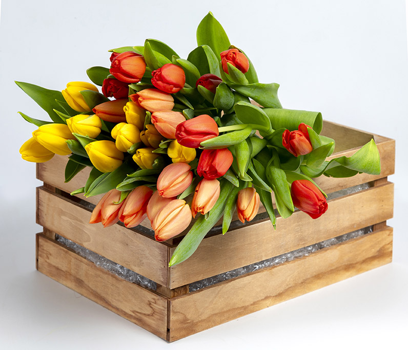  Ramo de tulipanes
